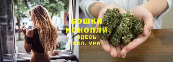 ECSTASY Богородицк