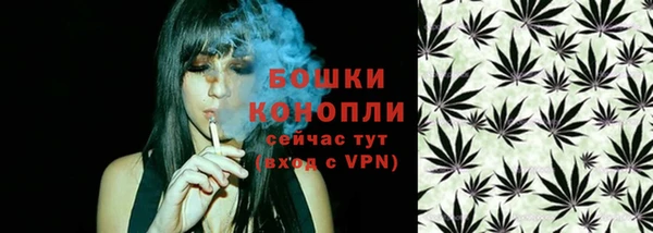 стаф Богородск