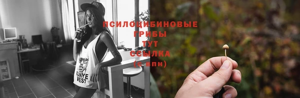 стаф Богородск