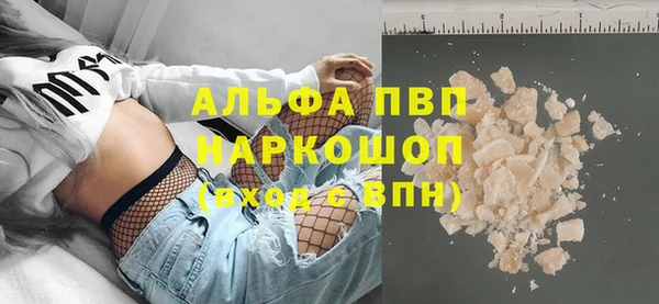 стаф Богородск