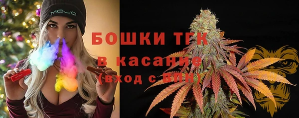 стаф Богородск
