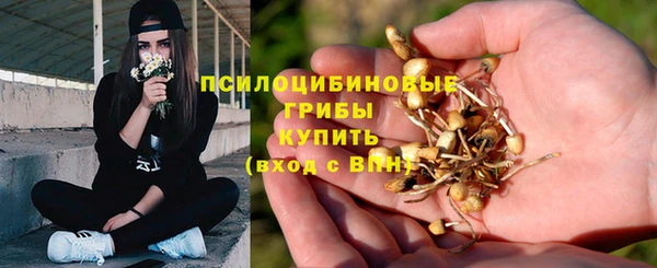 ECSTASY Богородицк