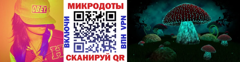 Купить закладки  Тосно  Галлюциногенные грибы Magic Shrooms 